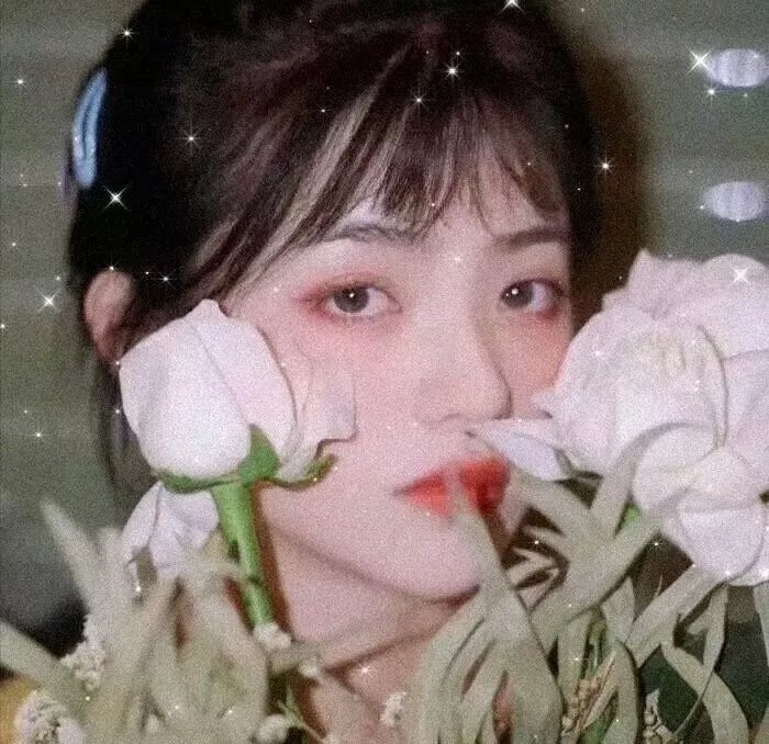 歌声欢唱的树